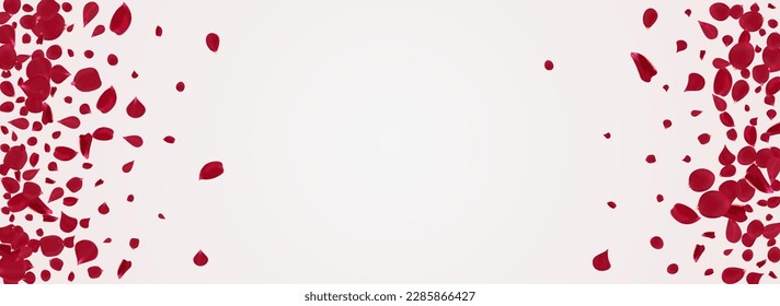 Delicate Rose Blur Vector Panoramic White Background. Fly Petal Wallpaper. Beautiful Cherry Spring Banner. Red Blossom Flying Poster.