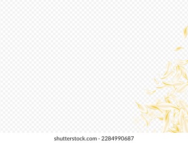 Delicate Rose Blur Vector Transparent Background. Yellow Japanese Flower Texture. White Blossom Tender Cover. Gold Floral Falling Wallpaper. Japan Cherry Illustration.