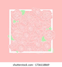 Delicate rose flowers in a white square frame. White outline on a pink background. Colorful vector illustration. Hand-drawn.