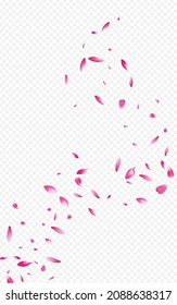 Delicado fondo transparente del vector volador de rosa. Plantilla de Blur Peach. Hermosa Ilustración De Lotus Falling. Fondo de Belleza de Flor Roja.