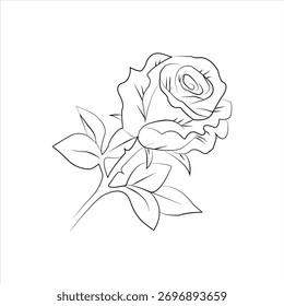 Una delicada ilustración rosa con líneas finas captura la belleza de la flor. Perfecto para añadir un toque de elegancia a cualquier proyecto, desde invitaciones hasta Diseño web.