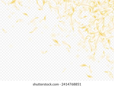 Delicate Rose Japan Vector Transparent Background. Beige Blur Sakura Texture. Light Blossom Falling Cover. Gold Flower Beauty Poster. Tender Cherry Frame.