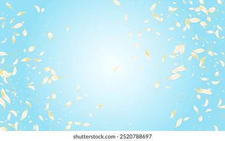 Delicate Rose Japanese Vector Blue Background. White Fly Sakura Wallpaper. Beige Flower Falling Texture. Gold Floral Japan Pattern. Fall Blossom Banner.