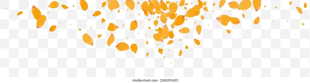 Delicate Rose Summer Vector Transparent Panoramic Background. Beauty Tulip Template. Lemon Peony Falling Frame. Beautiful Narcissus Spring Pattern.