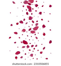 Delicate Rose Summer Vector White Background. Falling Peach Backdrop. Pink Flower Beauty Texture. Beautiful Floral Flying Template.