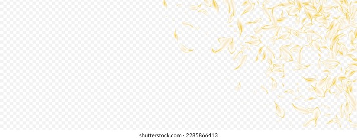Delicate Rose Tender Vector Panoramic Transparent Background. Light Japanese Flower Wallpaper. Gold Sakura Fall Backdrop. White Floral Spring Poster. Beauty Cherry Cover.