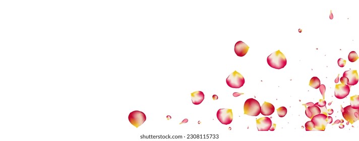 Delicate Rose Tender Vector Panoramic White Background. Japanese Flower Texture. Pink Peach Blur Wallpaper. Red Floral Summer Poster.