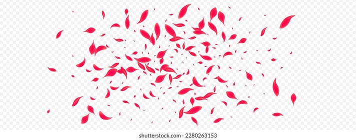 Delicate Rose Vector Transparent Panoramic Background. Japan Peach Backdrop. Beautiful Petal Fly Template. Pink Tender Floral Cover.