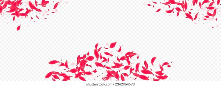 Delicate Rose Vector Transparent Panoramic Background. Falling Petal Template. Beautiful Blossom Spring Texture. Red Fall Cherry Backdrop.