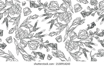 Delicadas rosas. Dibujo lineal. Imagen monocroma, utilizada en revistas de papel para la creatividad, el colorido.