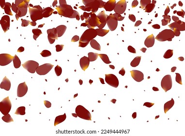 Delicate Sakura Beauty Vector White Background. Falling Floral Template. Pink Cherry Japan Banner. Burgundy Petal Summer Cover.