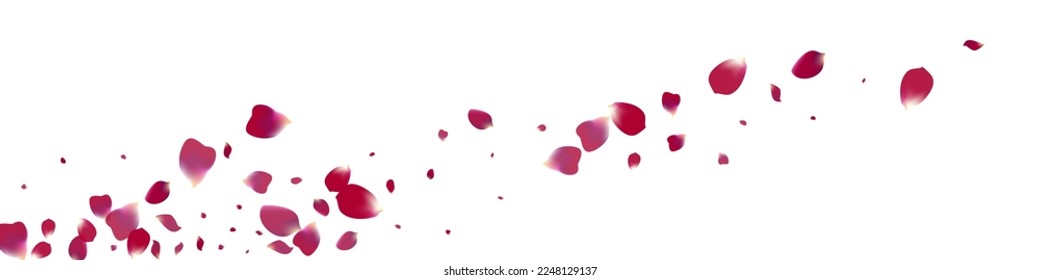 Delicate Sakura Blur Vector White Panoramic Background. Flying Flower Illustration. Purple Petal Japan Wallpaper. Beautiful Cherry Fly Cover.