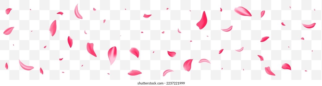 Delicate Sakura Fall Vector Transparent Panoramic Background. Flying Floral Texture. Beautiful Blossom Japan Cover. Red Petal Spring Pattern.