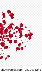 Delicate Sakura Fall Vector Transparent Background. Summer Lotus Texture. Red Floral Japanese Frame. Pink Flower Spring Wallpaper.