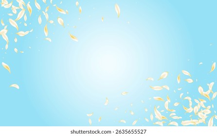 Delicate Sakura Fly Vector Blue Background. Yellow Flying Cherry Design. Gold Peach Japanese Pattern. White Blossom Spring Texture. Beauty Floral Poster.