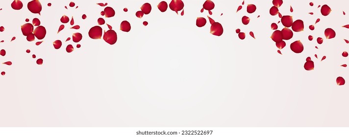 Delicate Sakura Fly Vector Panoramic White Background. Beauty Lotus Frame. Red Floral Falling Cover. Pink Peach Blur Pattern.