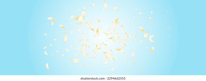 Delicate Sakura Japanese Vector Panoramic Blue Background. Gold Falling Petal Backdrop. Beige Flower Tender Wallpaper. Light Blossom Beauty Frame. Fall Lotus Banner.