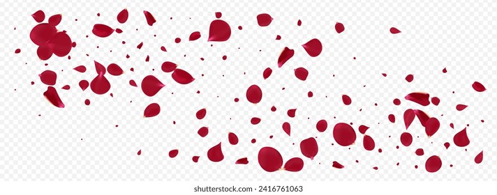 Delicate Sakura Japanese Vector Panoramic Transparent Background. Japan Flower Texture. Red Petal Fly Backdrop. Beautiful Floral Spring Banner.