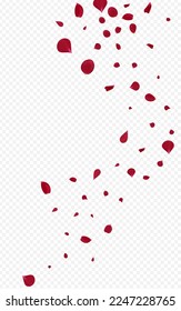 Delicate Sakura Spring Vector Transparent Background. Beauty Peach Design. Beautiful Lotus Fall Backdrop. Red Floral Tender Template.