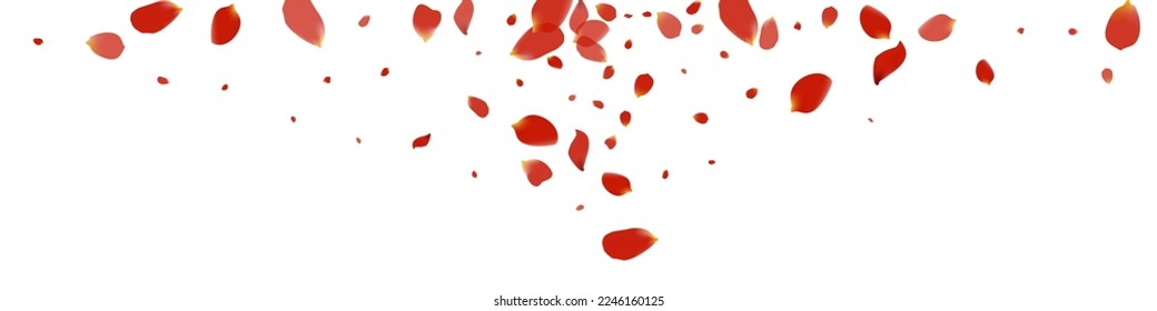 Delicado Vector Sakura Tender Fondo Panorámico Blanco. Tapa de la Bella Flor. Fondo de Caída de Petal Rojo. Hermosa Plantilla Japonesa Rosa.