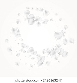 Delicate Sakura Vector Light Background. Gray Flying Peach Pattern. Summer Flower Backdrop. Pastel Blossom Falling Wallpaper.
