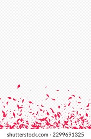 Delicate Sakura Vector Transparent Background. Japanese Peach Design. Beautiful Petal Beauty Frame. Pink Spring Floral Wallpaper.