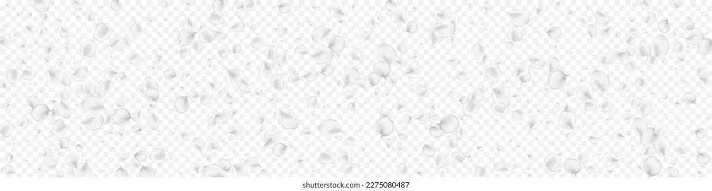 Delicate Sakura Vector Transparent Panoramic Background. Snowy Japan Flower Pattern. Beauty Peach Illustration. White Floral Fly Backdrop.