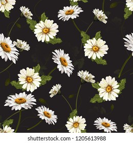 Delicate seamless pattern with chamomile . Vector illustration.