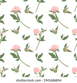 Delicado patrón sin costuras con peonías. Primavera floral o impresión de verano. Flores con hojas en el fondo. Decoración para bodas, textiles, papel envolvente y diseño. Ilustración del vector