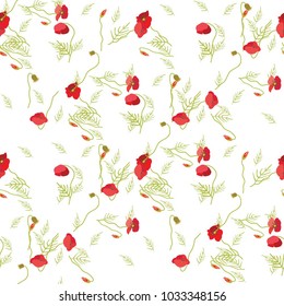 Delicate seamless pattern with poppies. Bright spring background with summer flowers. The buds, buds and petals for decoration.