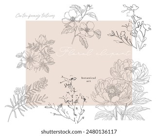 Delicate set of  floral prints with abstract outline flowers, modern botanicals. Soft pastel beige aesthetics art, posters, minimal artistic