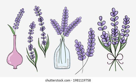 Delicate set with various elements of lavender sprigs