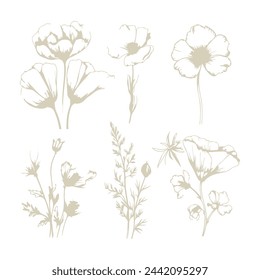 Zartes Set von Aquarell-Wiesen-Blumen, botanische Digitaldrucke, floraler Hintergrund in weichen Pastellgrün-Beige-Tönen. Neutrale elegante Vektordarstellung