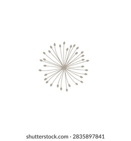 A delicate silver dandelion flower head with thin stems and seeds arranged in a spherical shape isolated on a plain white background