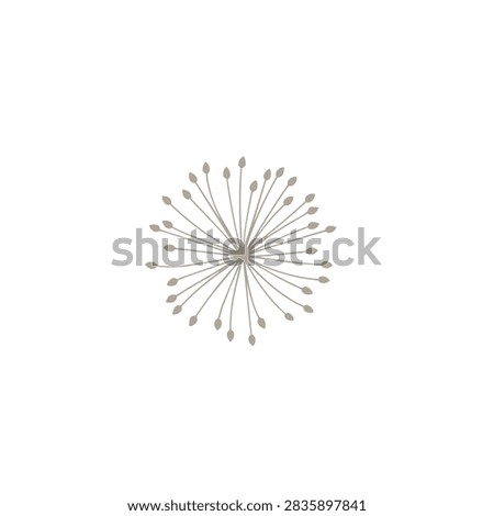 A delicate silver dandelion flower head with thin stems and seeds arranged in a spherical shape isolated on a plain white background