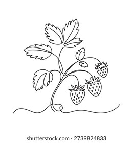 A delicate single line drawing of a strawberry plant with ripe berries