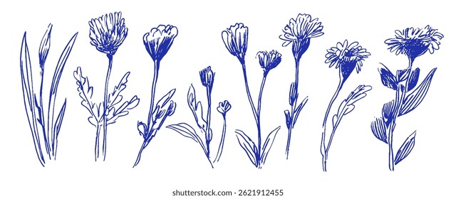 Delicate sketches of various Mediterranean flowers rise elegantly, showcasing linear designs and whimsical elements inspired by nature.