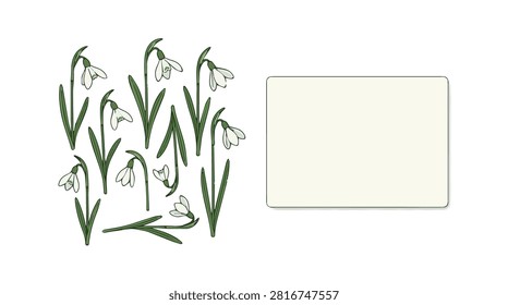 Delicate snowdrop blossoms alongside a blank card, highlighting springtime renewal and nature's beauty over a dark background.