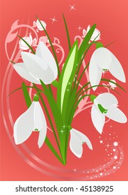 Delicate snowdrops on beautiful spring festive background