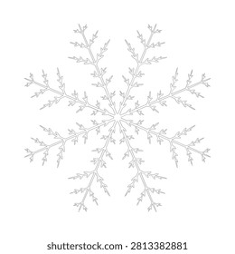Delicate snowflake illustration with intricate branching line art on a white background