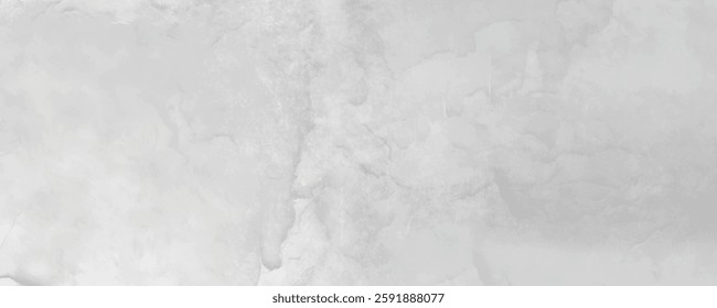 Delicate and Soft White and Gray Textured Surface with a Cloudy, Elegant, and Classic Feel
