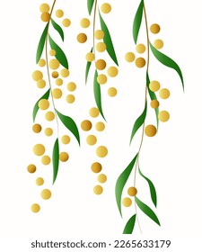 delicate and sophisticated illustration of a plant branch with leaves