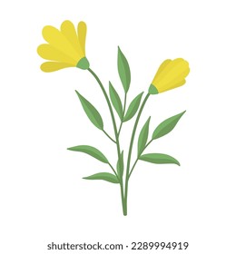 A delicate sprig of yellow flowers. Vector illustration of vintage cute yellow flowers. Delicate flower for decoration. Isolated.