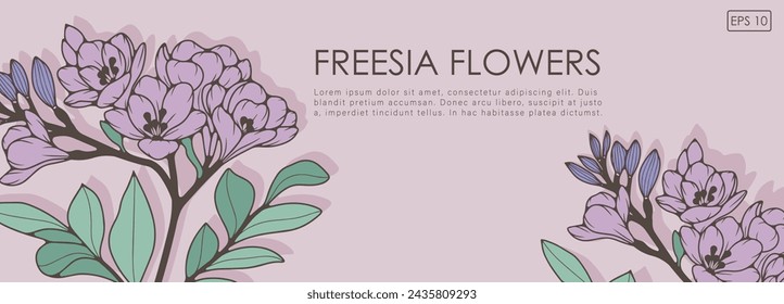 Delicado diseño floral primaveral con flores fresia y hojas verdes. Ilustración de vector de resorte dibujado a mano. Tarjeta floral, fondo, cartel, bandera