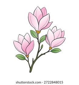 Las delicadas flores de magnolia de primavera florecen en elegantes ramas, sus pétalos suaves de color rosa y blanco dan la bienvenida al aire fresco, la luz del sol suave y la belleza tranquila de una nueva temporada.
