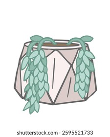 delicate succulent Sedum with trailing vines of stems in a cement pot, house miniature plant, hand drawn illustration for cards, posters, flower shop cards