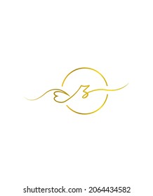 A delicate touch modern script letter type Z logo template