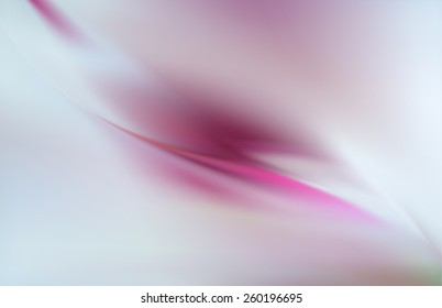 Delicate transparent silk background of a rose on the gray
