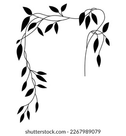 Delicate tree branch with leaves. Liana vine. Beautiful floral motif. Black silhouette on white background.