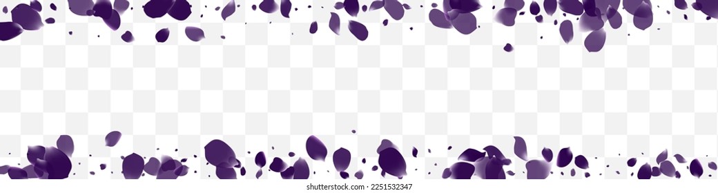 Delicate Tulip Dutch Vector White Transparent Panoramic Background. Tender Blossom Frame. Beautiful Petal Fall Design. Purple Floral Beauty Illustration.